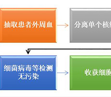 细胞计数仪如何应用于生物免疫治疗？