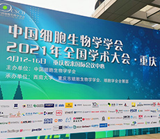 2021年重庆展会圆满收官