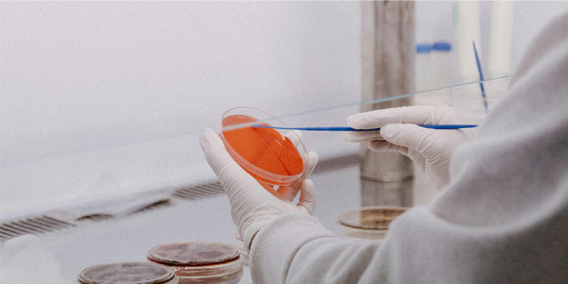 告别人工误差：这款微生物细胞计数仪，用亚甲基蓝原理算准酵母活率