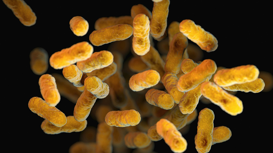 聚焦2025微生物學(xué)術(shù)年會(huì):博大博聚帶您解鎖細(xì)菌檢測(cè)技術(shù)新范式