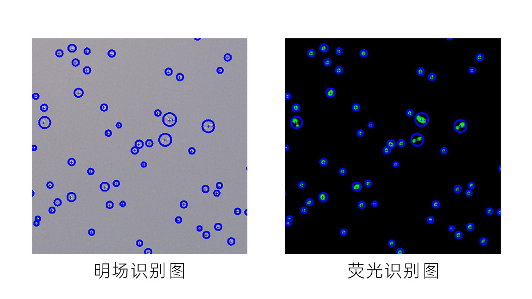 聚焦2025微生物學(xué)術(shù)年會(huì):博大博聚帶您解鎖細(xì)菌檢測(cè)技術(shù)新范式