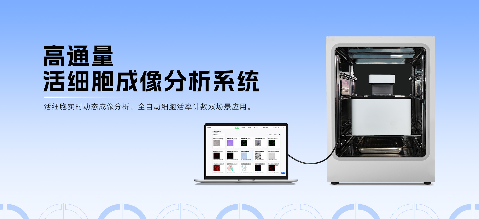 突破细胞杀伤实验瓶颈！高通量活细胞成像分析系统的应用