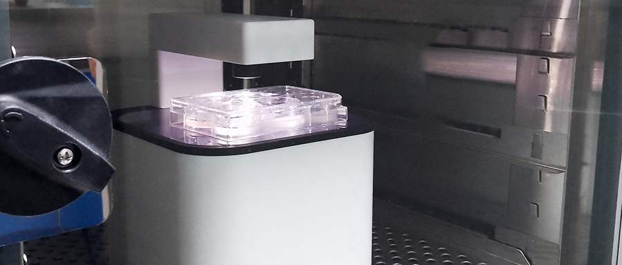 活细胞成像分析仪选购指南