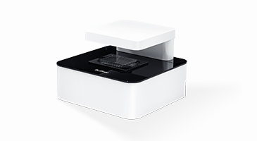High-throughput live cell imaging analyzer