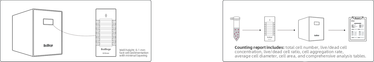 3ce951e0707743d6d39a9003e528269b.png