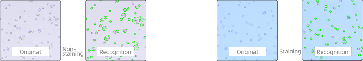 7d274b21afcd55e40e0766c9cffea073.png